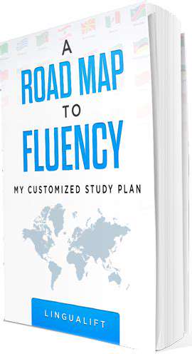 CraftingaPersonalizedLearningStrategy:YourRoadmaptoFluency